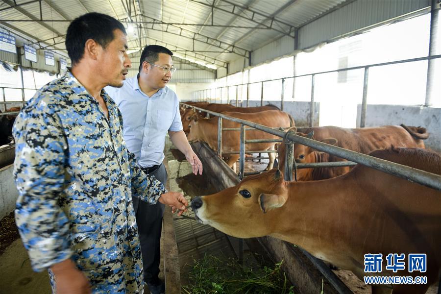 （脫貧攻堅&middot;圖文互動）（2）&ldquo;不畏難、不畏煩、不畏苦&rdquo;&mdash;&mdash;記&ldquo;80后&rdquo;扶貧干部李朝陽