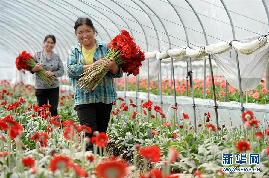 （大江奔流&mdash;&mdash;來自長(zhǎng)江經(jīng)濟(jì)帶的報(bào)道&middot;新華全媒頭條&middot;圖文互動(dòng)）（3）擘畫新時(shí)代中國(guó)發(fā)展新坐標(biāo)&mdash;&mdash;深入推動(dòng)長(zhǎng)江經(jīng)濟(jì)帶發(fā)展述評(píng)  