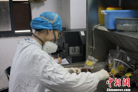 走進病理科醫(yī)生：爭分奪秒&ldquo;戰(zhàn)斗&rdquo;的醫(yī)院&ldquo;法官&rdquo;