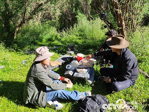 長(zhǎng)途跋涉途中休息。