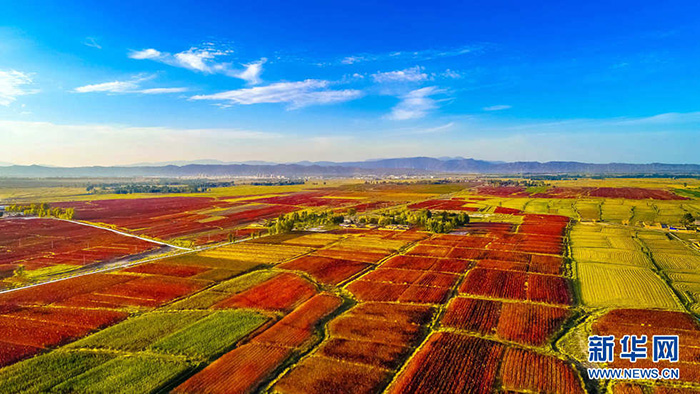 秋收的中國，你想象不到的美！但更美的是&hellip;&hellip;