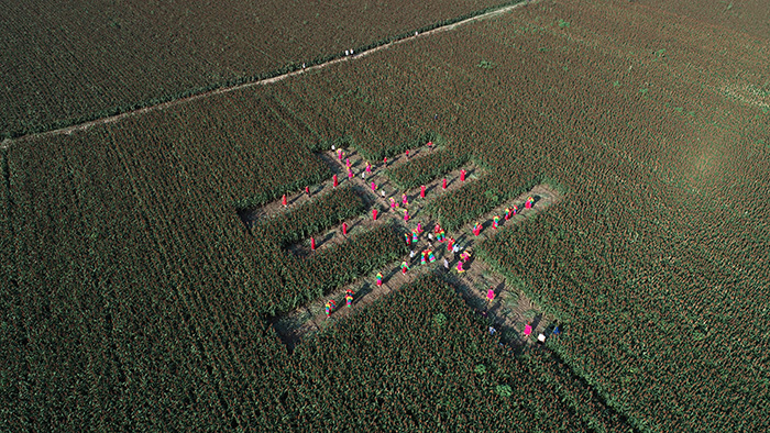 秋收的中國，你想象不到的美！但更美的是&hellip;&hellip;