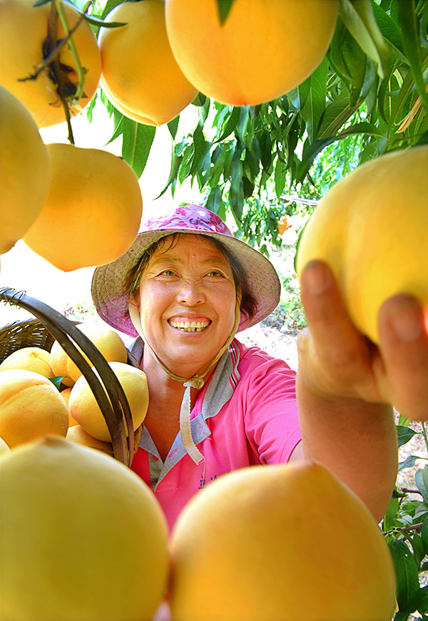 秋收的中國，你想象不到的美！但更美的是&hellip;&hellip;