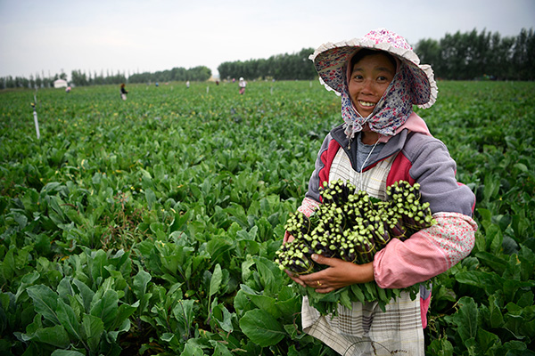 秋收的中國，你想象不到的美！但更美的是&hellip;&hellip;