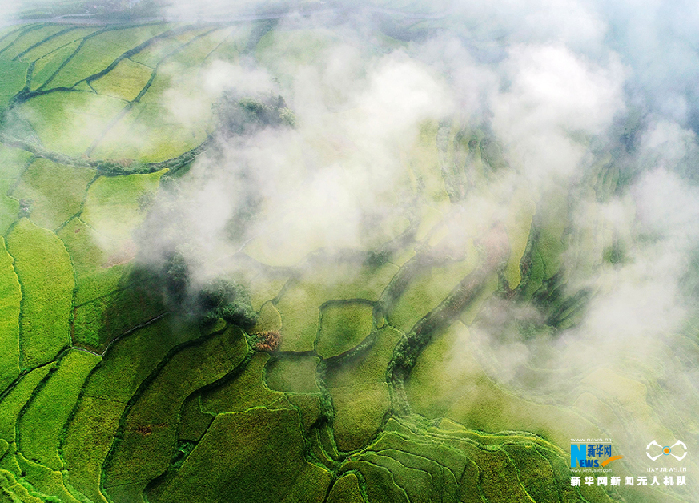 秋收的中國，你想象不到的美！但更美的是&hellip;&hellip;