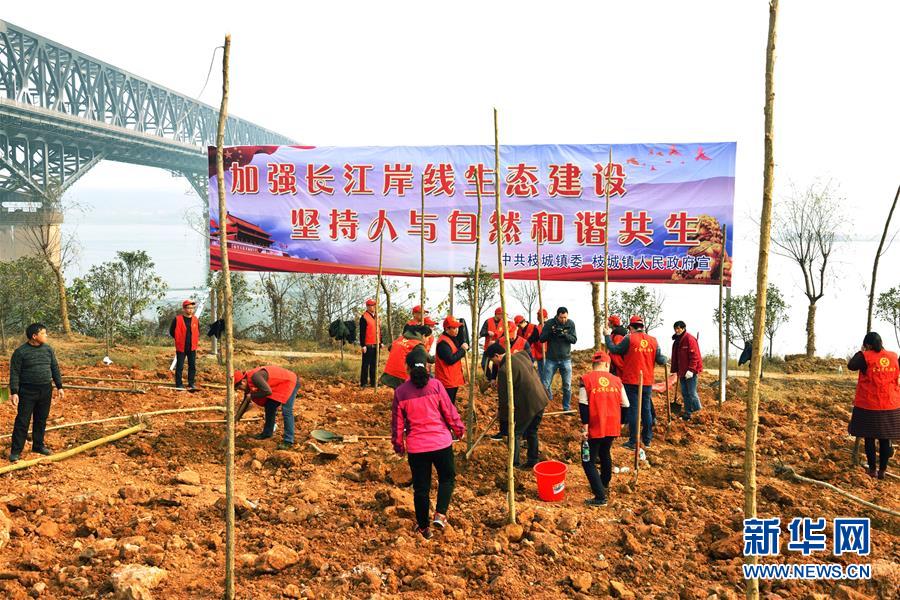 （在習近平新時代中國特色社會主義思想指引下&mdash;&mdash;新時代新作為新篇章&middot;圖文互動）（2）湖北枝城鎮(zhèn)：片區(qū)黨建助推鄉(xiāng)村全面振興