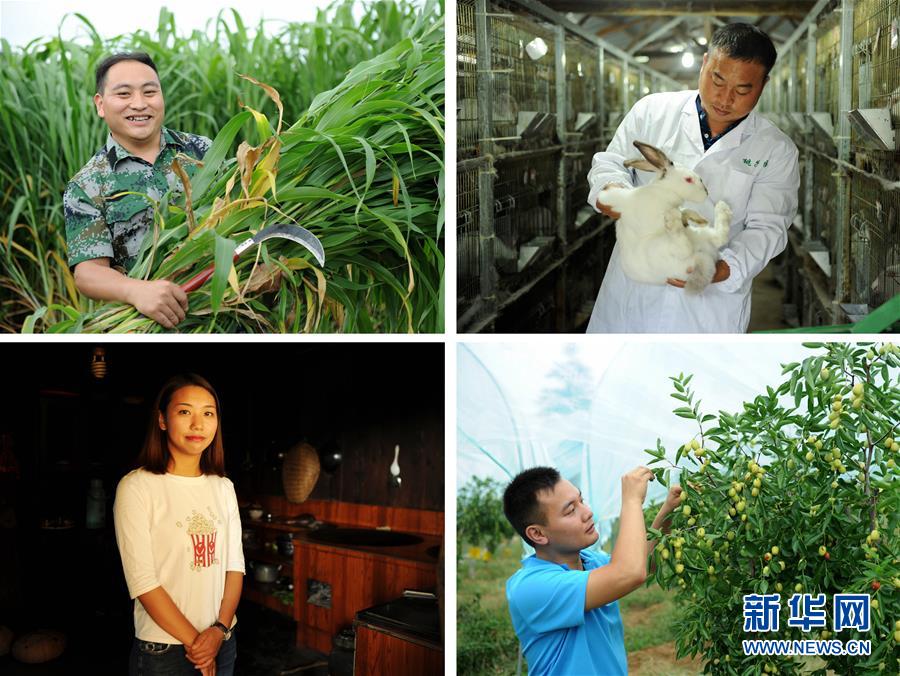 （在習(xí)近平新時(shí)代中國(guó)特色社會(huì)主義思想指引下&mdash;&mdash;新時(shí)代新作為新篇章&middot;圖文互動(dòng)）（7）三年村干部 一世農(nóng)村情&mdash;&mdash;記貴州石阡農(nóng)村扶貧干部