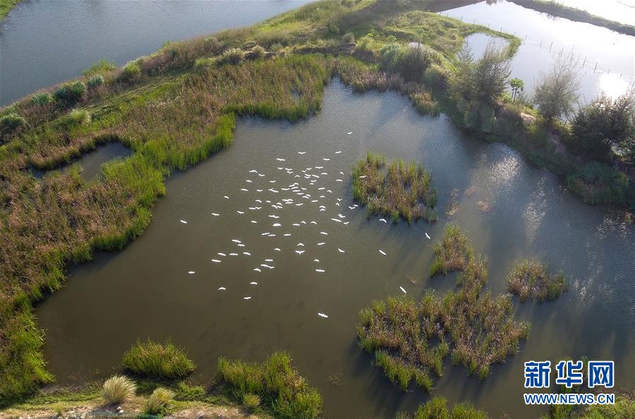 （圖文互動&middot;百城百縣百企調研行）（5）&ldquo;濕地?？?rdquo;的生態(tài)文明建設實踐