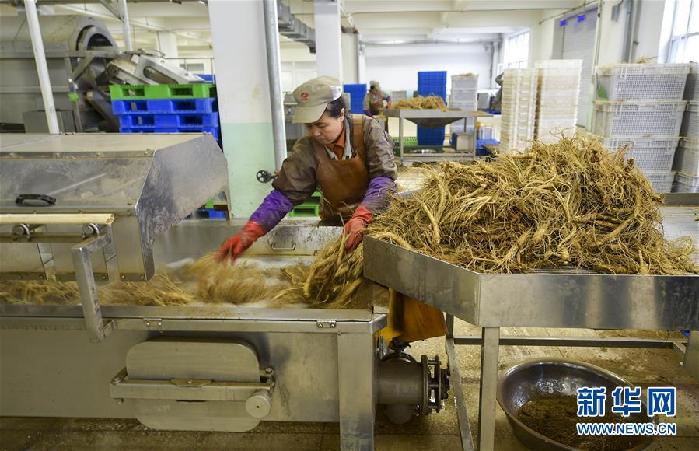 （百城百縣百企調(diào)研行&middot;圖文互動(dòng)）（5）吉林集安：邊陲&ldquo;綠色明珠&rdquo;為何如此閃亮？