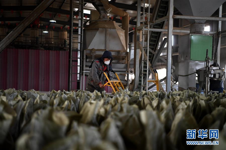 （在習(xí)近平新時(shí)代中國(guó)特色社會(huì)主義思想指引下&mdash;&mdash;新時(shí)代新氣象新作為&middot;鄉(xiāng)村振興戰(zhàn)略&middot;圖文互動(dòng)）（1）&ldquo;與其放火，不如打包&rdquo;&mdash;&mdash;山西渾源秸稈綜合再利用見(jiàn)聞