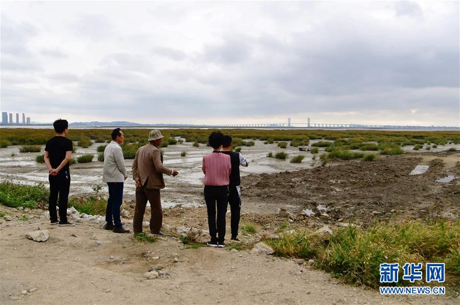 （新華視點(diǎn)&middot;圖文互動(dòng)）（5）福建10名黨員干部被問責(zé)的背后：7部門十余次執(zhí)法未能有效制止泉州灣濕地圍墾行為