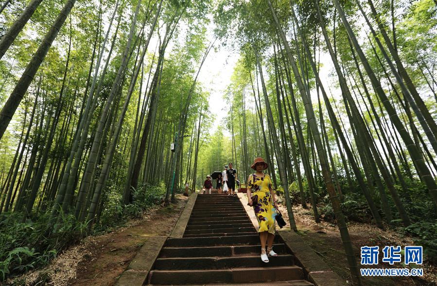 (在習(xí)近平新時(shí)代中國(guó)特色社會(huì)主義思想指引下·慶祝改革開(kāi)放40周年·綠色發(fā)展·圖文互動(dòng))(1)向陽(yáng)花木易為春——綠色發(fā)展之“木”的故事