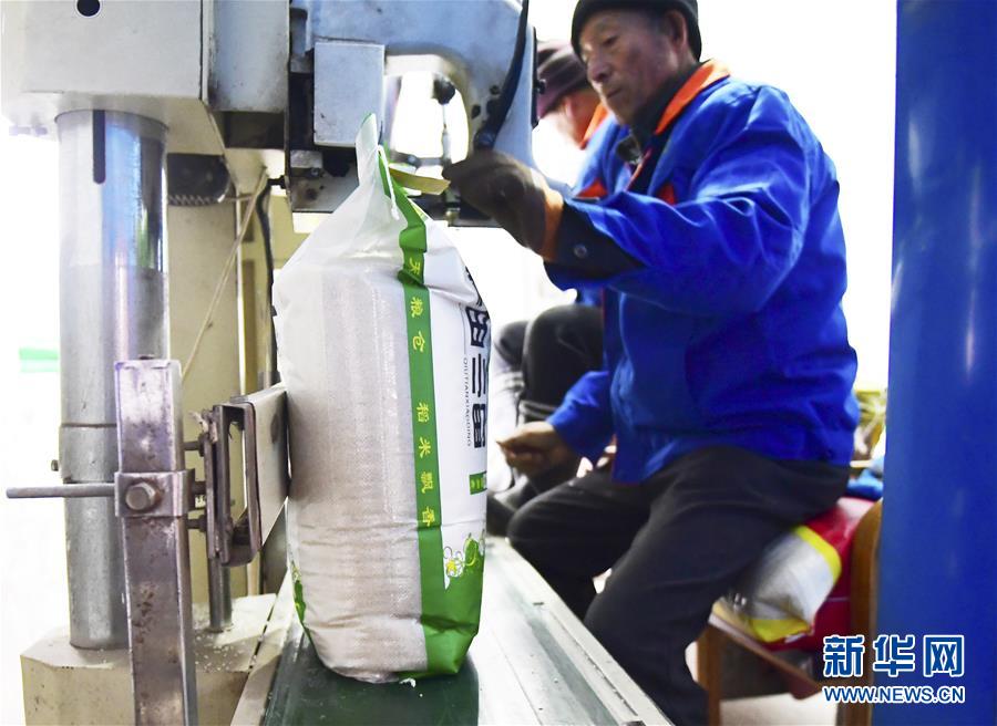 （在習近平新時代中國特色社會主義思想指引下&mdash;&mdash;新時代新作為新篇章&middot;鄉(xiāng)村振興戰(zhàn)略&middot;圖文互動）（3）吉林榆樹：產(chǎn)糧&ldquo;冠軍縣&rdquo;大旱之年從容應(yīng)對減產(chǎn)考驗