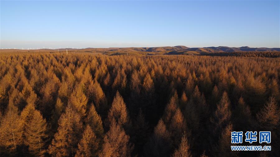 （新華全媒頭條&middot;圖文互動(dòng)）（6）那一抹綠色，走進(jìn)越來越多人心里&mdash;&mdash;河北塞罕壩續(xù)寫新時(shí)代綠色傳奇