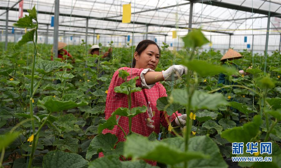 （新華全媒頭條&middot;圖文互動(dòng)）（11）心中有夢(mèng)想，腳下就有力量&mdash;&mdash;寫在&ldquo;中國(guó)夢(mèng)&rdquo;提出六周年之際