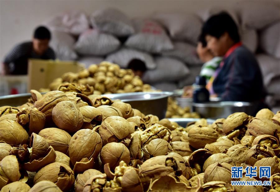 （新華全媒頭條&middot;圖文互動(dòng)）（12）心中有夢(mèng)想，腳下就有力量&mdash;&mdash;寫在&ldquo;中國(guó)夢(mèng)&rdquo;提出六周年之際