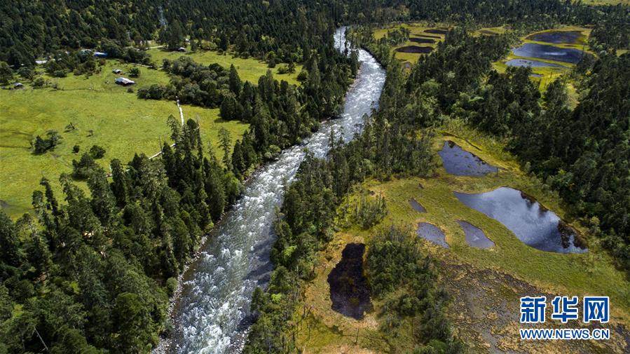 （百城百縣百企調(diào)研行&middot;圖文互動(dòng)）（1）西藏米林縣的綠色富裕路