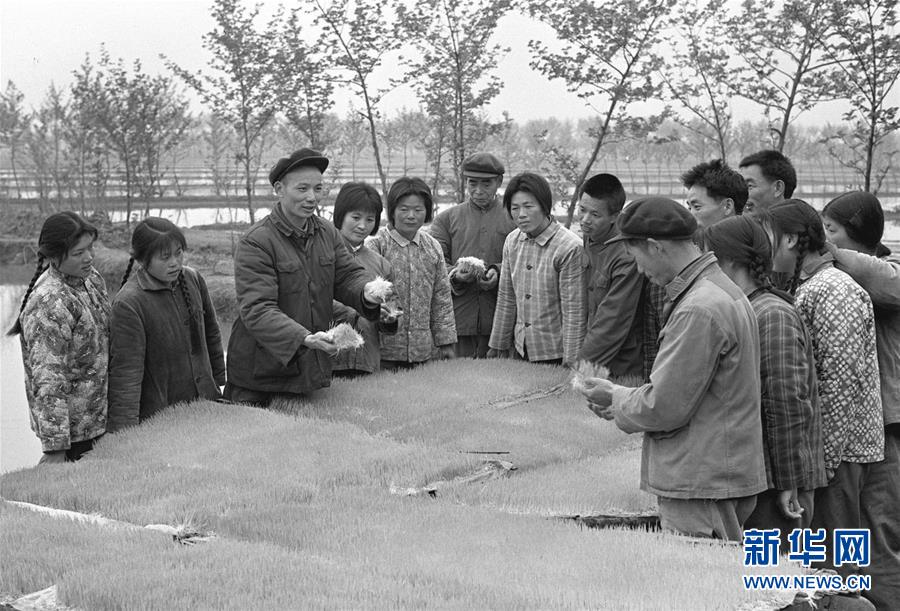 （新華全媒頭條&middot;圖文互動）（1）跨越40年的民心見證