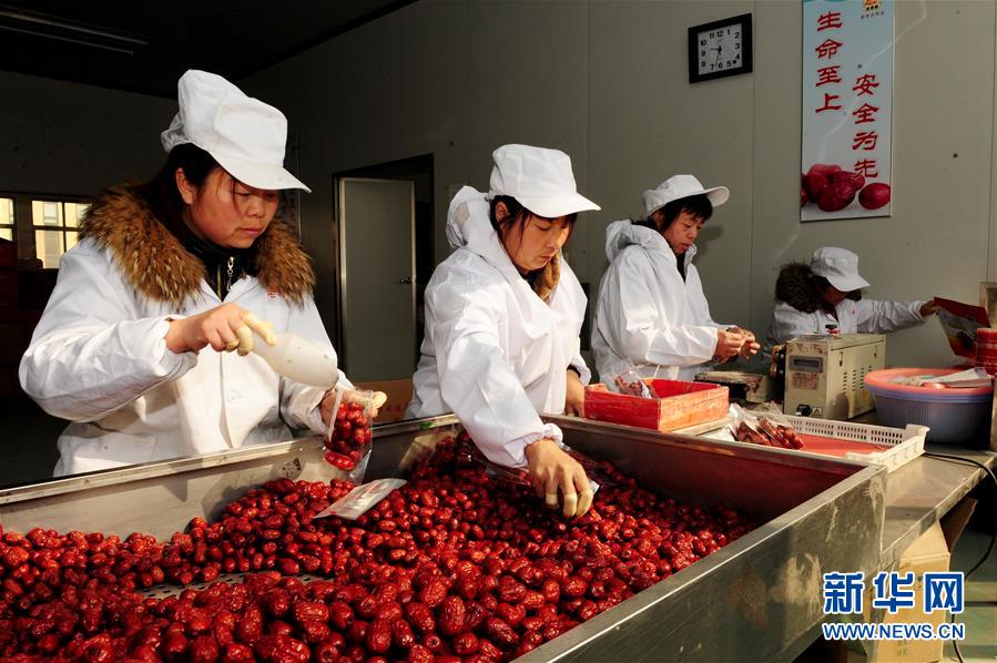 (來(lái)自一線的調(diào)查報(bào)告·圖文互動(dòng))(2)從“填飽肚子”到“過(guò)好日子”——改革開(kāi)放40年河南農(nóng)業(yè)三重“蝶變記”