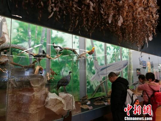 圖為展覽現(xiàn)場(chǎng)。　胡遠(yuǎn)航 攝