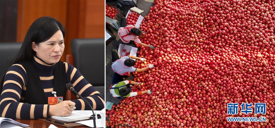 （兩會&middot;影像鏈接）全國人大代表曾云英：新型農(nóng)業(yè)將迎來高質(zhì)量發(fā)展的機遇