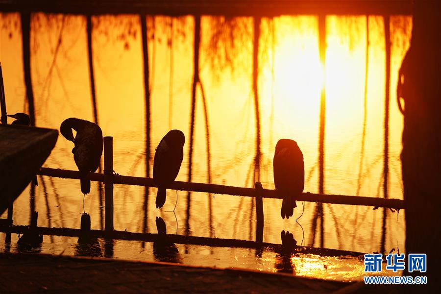 （圖文互動）（8）國務(wù)院批復(fù)同意《河北雄安新區(qū)總體規(guī)劃（2018&mdash;2035年）》 