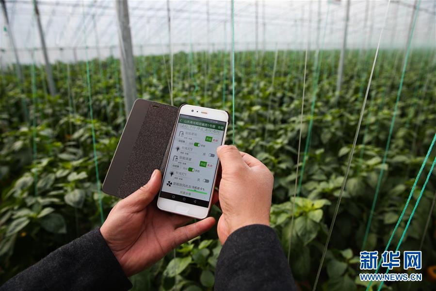 （新華全媒頭條&middot;圖文互動）（8）聚焦高質(zhì)量，躍上新臺階&mdash;&mdash;新年開局看中國經(jīng)濟信心和潛力