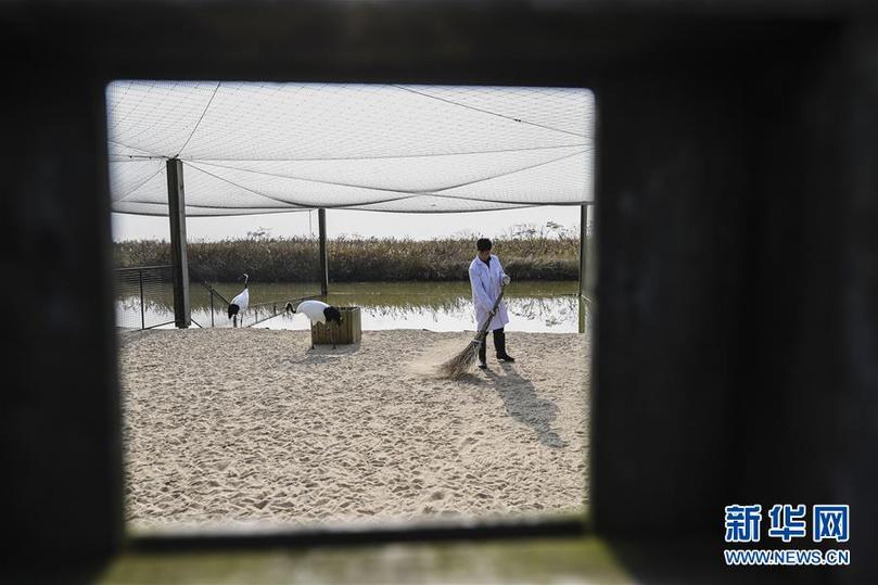 (兩會(huì)前夕看落實(shí)·圖文互動(dòng))(3)綠色發(fā)展引領(lǐng) 守護(hù)“魚(yú)米之鄉(xiāng)”——江蘇落實(shí)習(xí)近平總書(shū)記全國(guó)兩會(huì)重要講話精神紀(jì)實(shí)