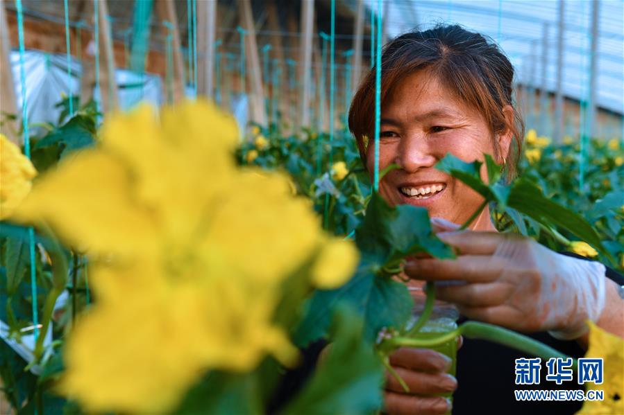 (兩會(huì)前夕看落實(shí)·圖文互動(dòng))(4)融合“三生三美” 打造鄉(xiāng)村振興齊魯樣板——山東落實(shí)習(xí)近平總書記全國(guó)兩會(huì)重要講話精神紀(jì)實(shí)