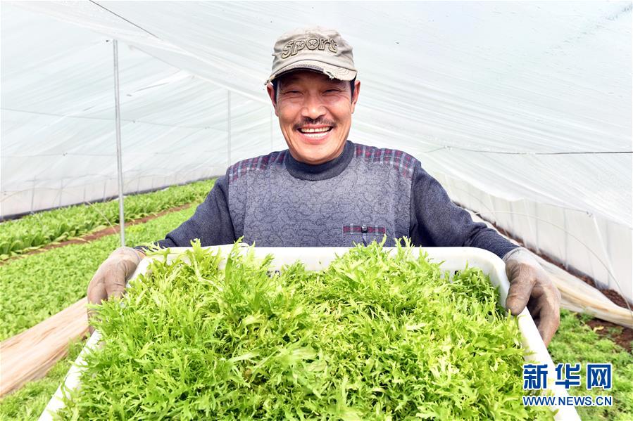 (兩會(huì)前夕看落實(shí)·圖文互動(dòng))(3)融合“三生三美” 打造鄉(xiāng)村振興齊魯樣板——山東落實(shí)習(xí)近平總書記全國(guó)兩會(huì)重要講話精神紀(jì)實(shí)