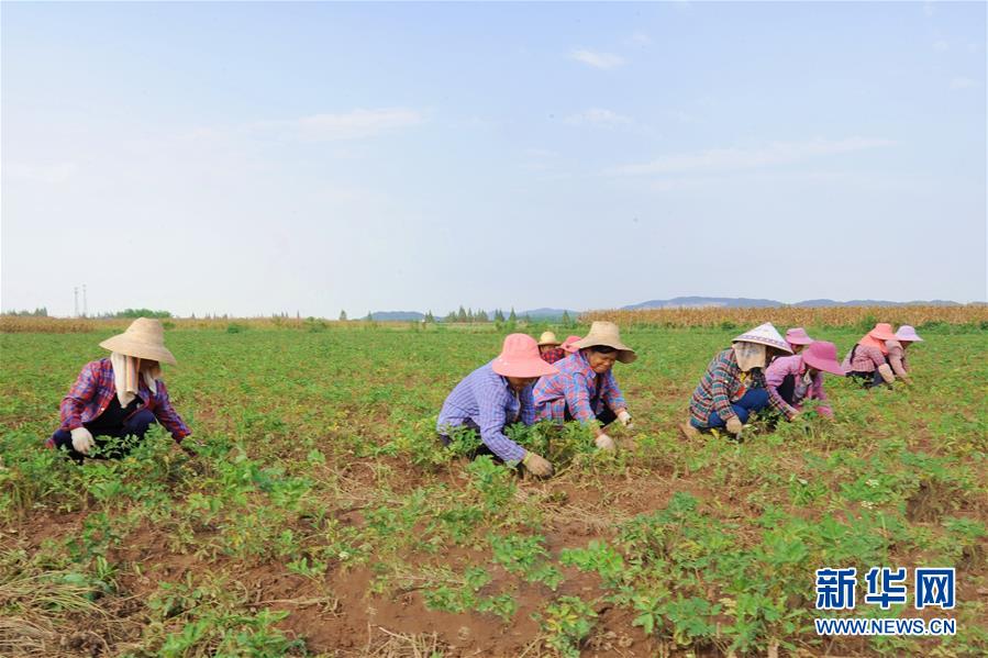 (新華全媒頭條·圖文互動)(9)滄海桑田一指間——6個村莊的70年巨變