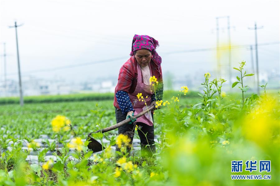 （社會）（1）貴州啟動脫貧攻堅(jiān)&ldquo;春季攻勢&rdquo;