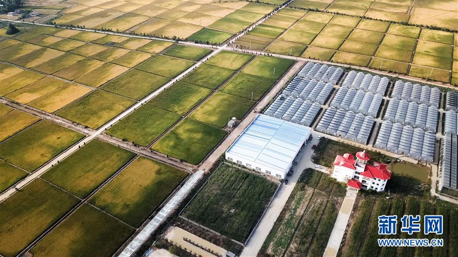 （新華全媒頭條&middot;愛國情 奮斗者&middot;圖文互動）（8）一個村的奮斗，一個時代的巨變&mdash;&mdash;記敢&ldquo;蹚新路&rdquo;的小崗人