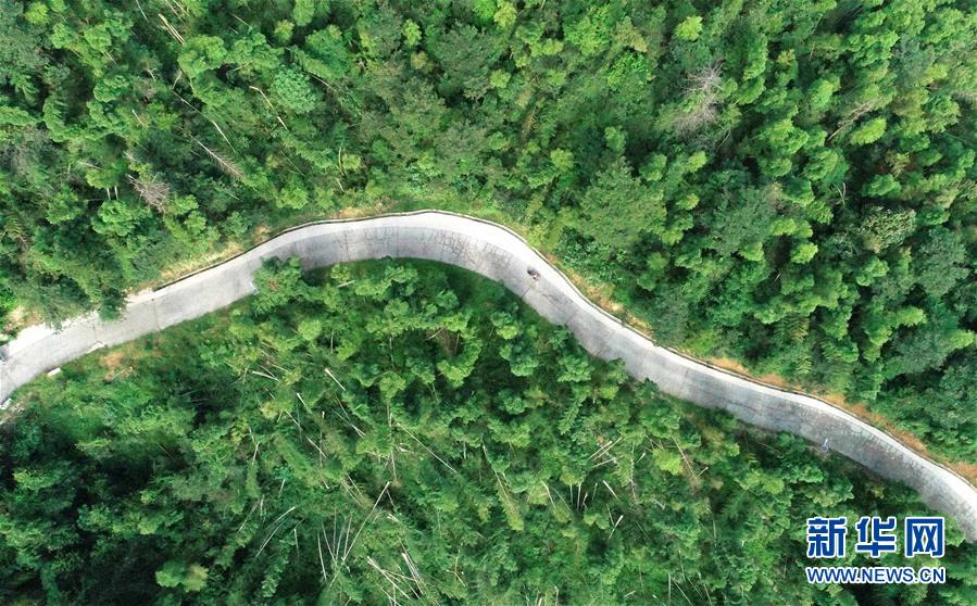 （中國網(wǎng)事&middot;感動2019&middot;圖文互動）（7）鄉(xiāng)村教師高自仁：60多根拐杖，撐起42年教學(xué)路