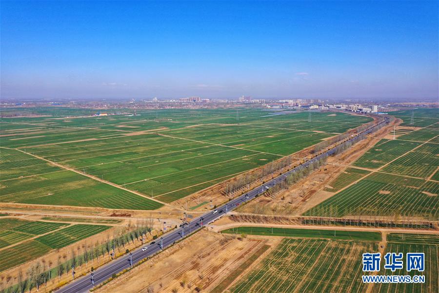 （新華全媒頭條&middot;圖文互動）（2）奮進，向著未來之城！&mdash;&mdash;河北雄安新區(qū)建設發(fā)展兩周年紀實