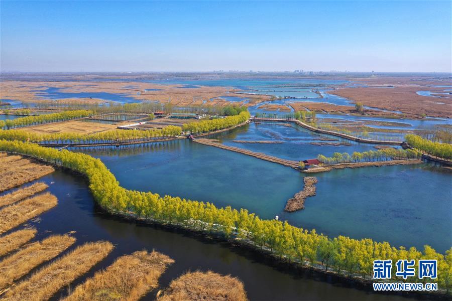 （新華全媒頭條&middot;圖文互動）（5）奮進，向著未來之城！&mdash;&mdash;河北雄安新區(qū)建設發(fā)展兩周年紀實