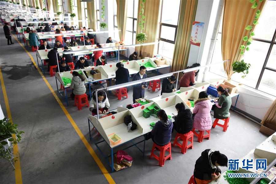 （在習近平新時代中國特色社會主義思想指引下&mdash;&mdash;新時代新作為新篇章&middot;圖文互動）（5）&ldquo;搬遷到哪里，服務就延伸到哪里&rdquo;&mdash;&mdash;貴州推進易地扶貧搬遷&ldquo;后半篇文章&rdquo; 