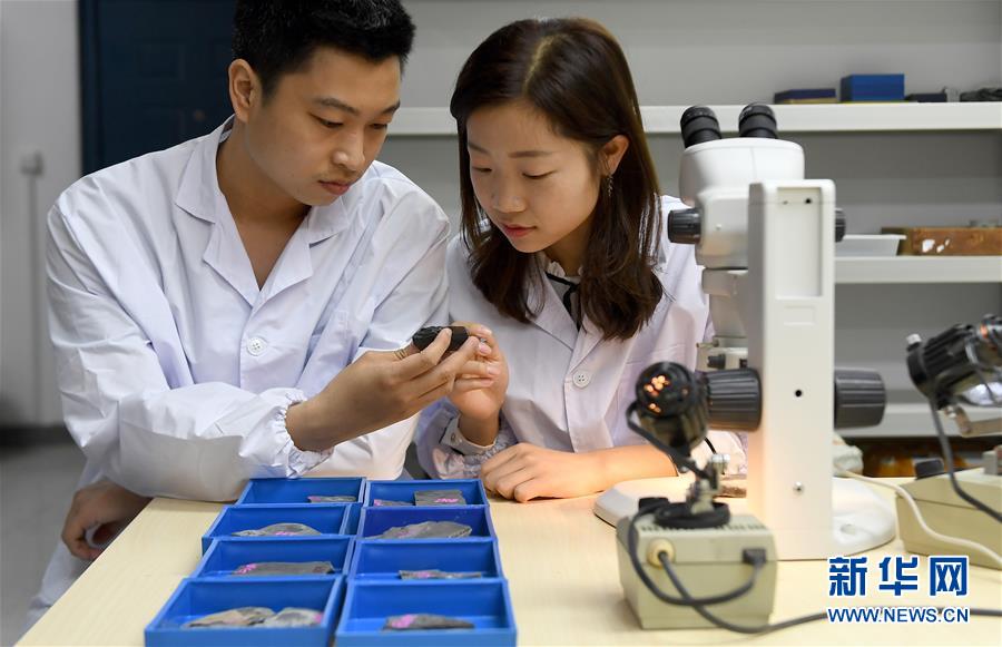 （新華全媒頭條&middot;圖文互動(dòng)）（5）探尋5億年前&ldquo;生命大爆炸&rdquo;之奧秘&mdash;&mdash;中國(guó)科學(xué)家發(fā)現(xiàn)寒武紀(jì)&ldquo;化石寶庫(kù)&rdquo;清江生物群紀(jì)實(shí)