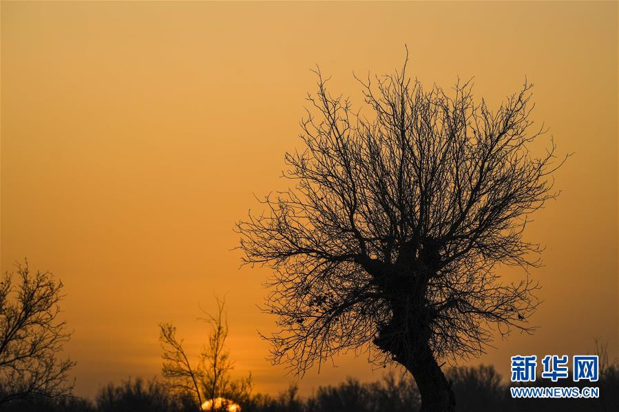 （新華全媒頭條&middot;圖文互動）（2）一步千年，&ldquo;最后的沙漠部落&rdquo;遷入新家園