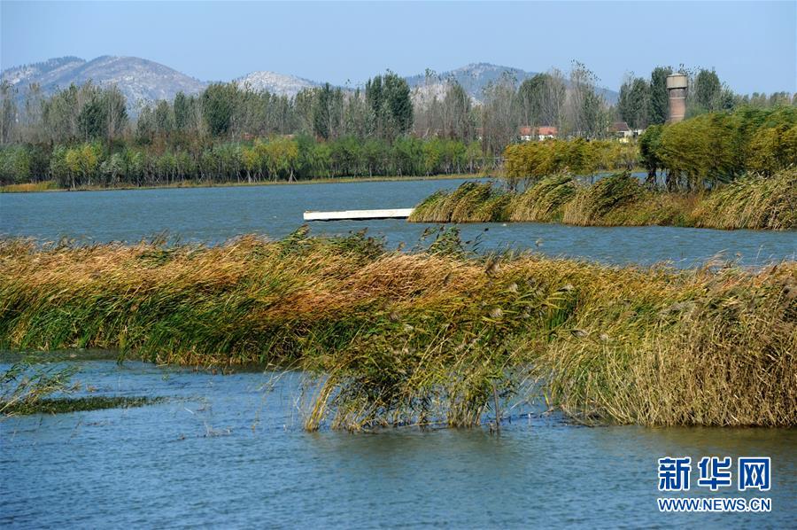 （新華全媒頭條&middot;圖文互動）（13）城市重生的徐州邏輯&mdash;&mdash;資源枯竭城市的轉型之道