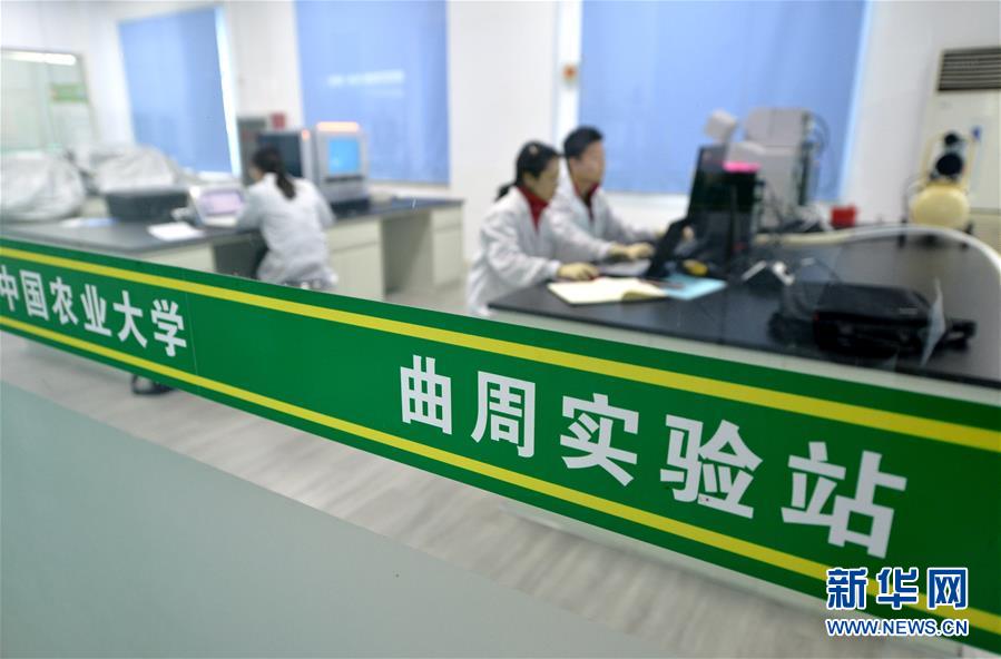 （愛國情 奮斗者&middot;圖文互動）（3） &ldquo;解民生之多艱，育天下之英才&rdquo;&mdash;&mdash;中國農(nóng)大師生扎根田野書寫奉獻之歌