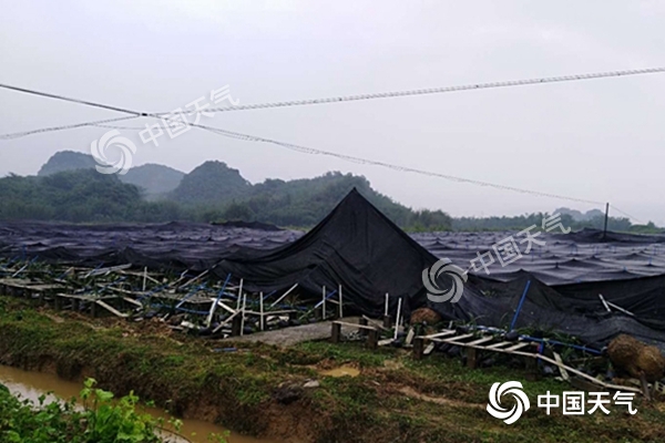 周末雨不休！南北方同迎大范圍降水