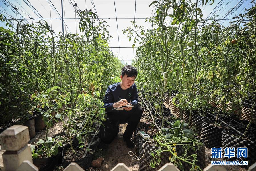 (新華全媒頭條·圖文互動(dòng))(5)青春萬歲 強(qiáng)國有我