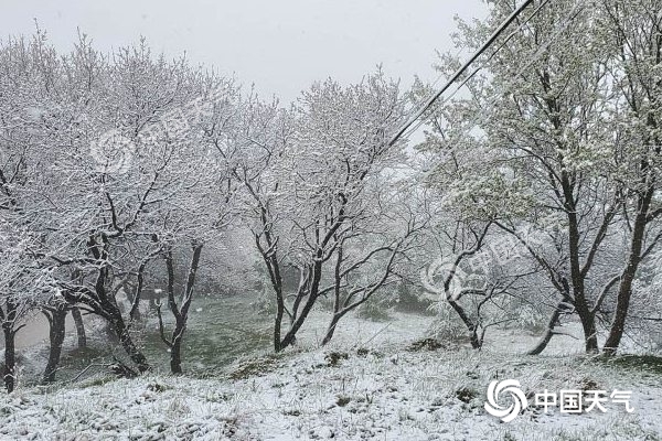 冷空氣要撤啦！今日全國降水整體弱 華南仍有強對流