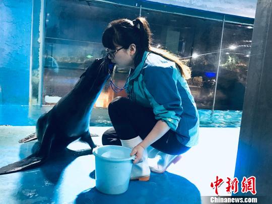 于雅麗與海獅親密瞬間?！“瑧c龍 攝