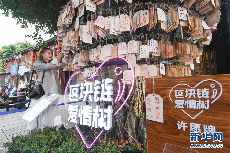 （新華全媒頭條&middot;圖文互動(dòng)）（9）從&ldquo;數(shù)字中國(guó)&rdquo;看中國(guó)發(fā)展新信號(hào)、新亮點(diǎn)、新趨勢(shì)