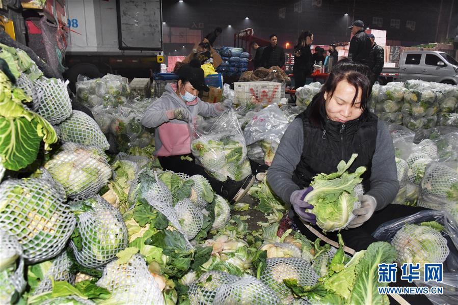 （壯麗70年&middot;奮斗新時代&middot;圖文互動）（1）山東壽光：一棵&ldquo;菜&rdquo;興一座城 