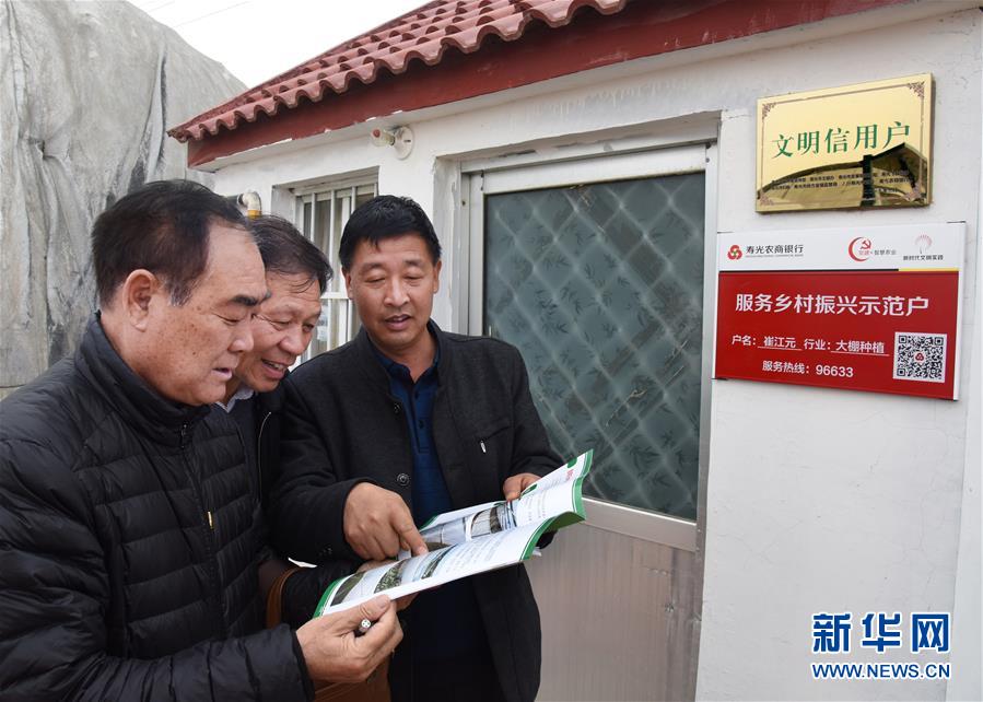 （壯麗70年&middot;奮斗新時代&middot;圖文互動）（6）山東壽光：一棵&ldquo;菜&rdquo;興一座城 