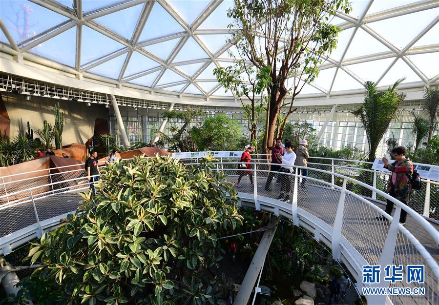 （在習(xí)近平新時(shí)代中國(guó)特色社會(huì)主義思想指引下&mdash;&mdash;新時(shí)代新作為新篇章&middot;圖文互動(dòng)）（10）從世園會(huì)&ldquo;看&rdquo;中國(guó)綠色發(fā)展之路&mdash;&mdash;寫在北京世園會(huì)&ldquo;中國(guó)國(guó)家館日&rdquo;到來(lái)之際
