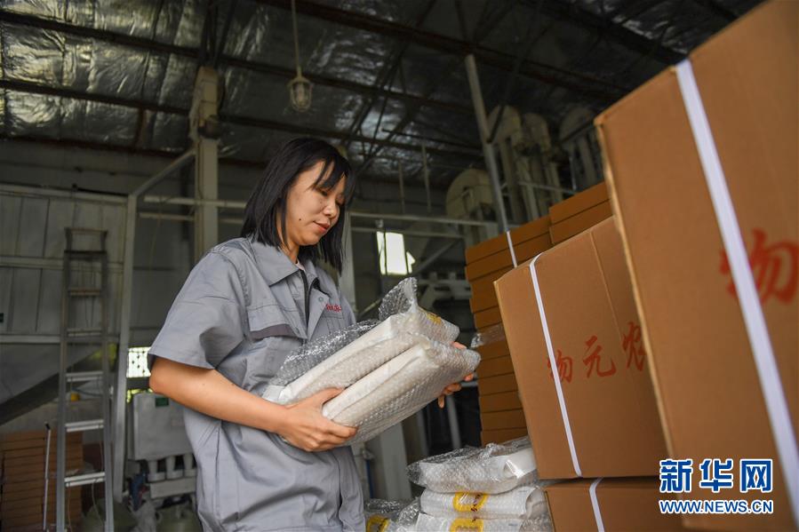 （在習(xí)近平新時(shí)代中國(guó)特色社會(huì)主義思想指引下&mdash;&mdash;新時(shí)代新作為新篇章&middot;圖文互動(dòng)）（6）大學(xué)生種田讓農(nóng)民&ldquo;老把式&rdquo;開了眼&mdash;&mdash;吉林長(zhǎng)白山下的稻田新事